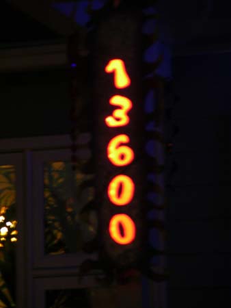 DSCN8704