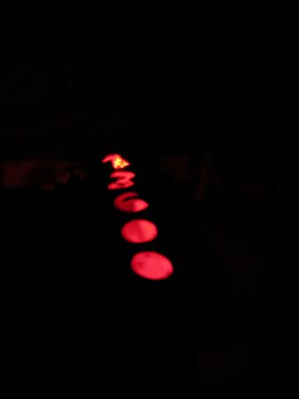 DSCN8553