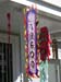 DSCN8661