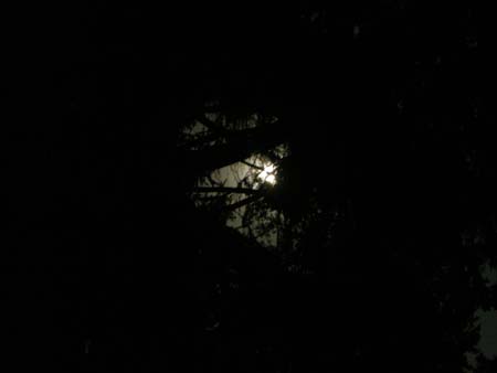 DSCN8646