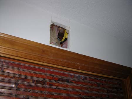 DSCN8531