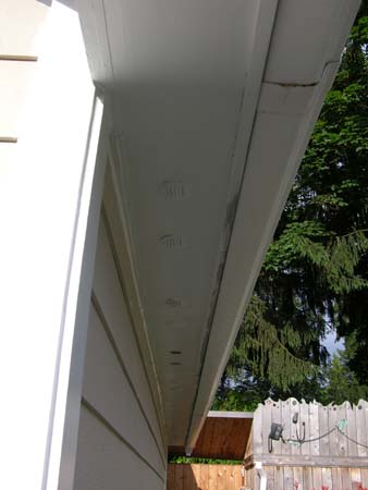 DSCN8075