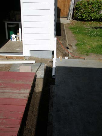 DSCN8181