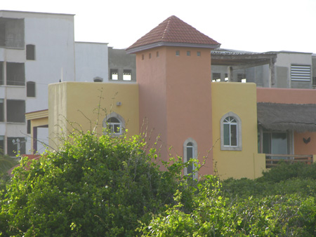DSCN9788